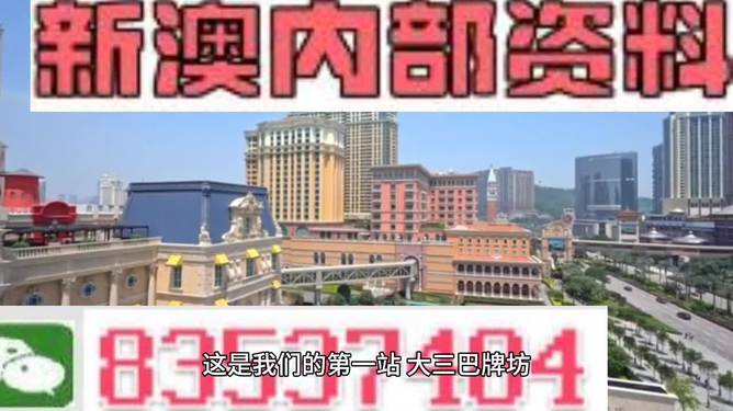 2024新澳精准正版资料,确保成语解释落实的问题_Lite88.455