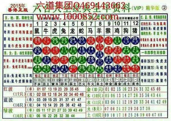 2024十二生肖49码表,效能解答解释落实_X版68.668