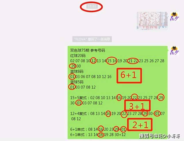 白小姐今晚特马期期准六,经典说明解析_T74.282