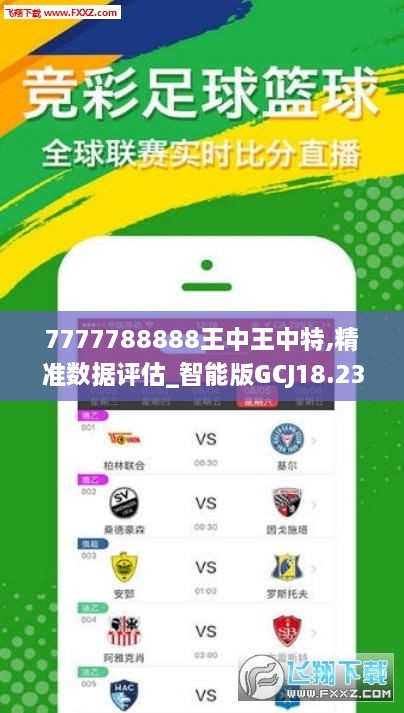 王中王493333中特马特色,现状分析解释定义_FT78.578