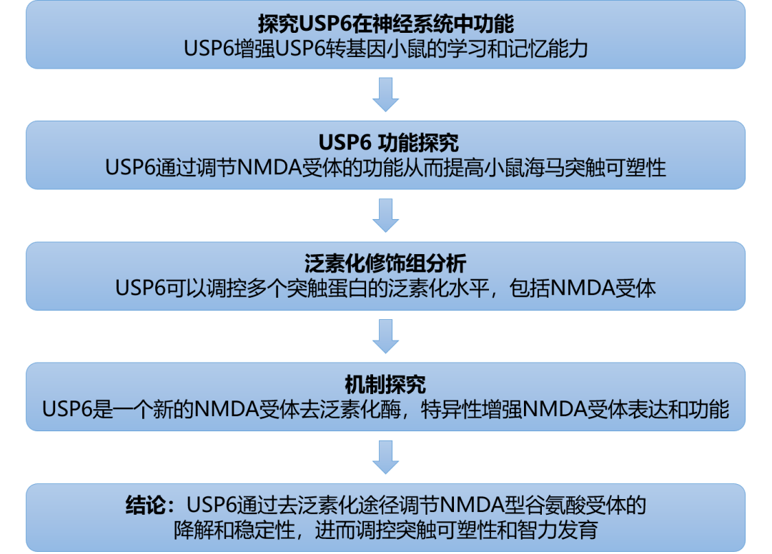 新澳资料免费最新,高度协调策略执行_精简版40.408