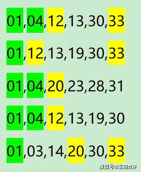 最准一肖一码100,实地执行数据分析_策略版69.127